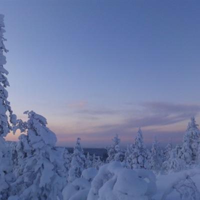 时间敲定！哈尔滨亚冬会将于明年2月7日至14日展开