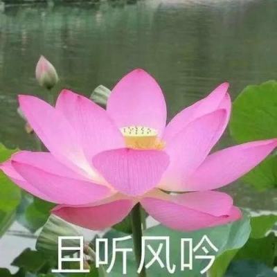 李家超与广西壮族自治区党委书记刘宁会面冀加强港桂合作